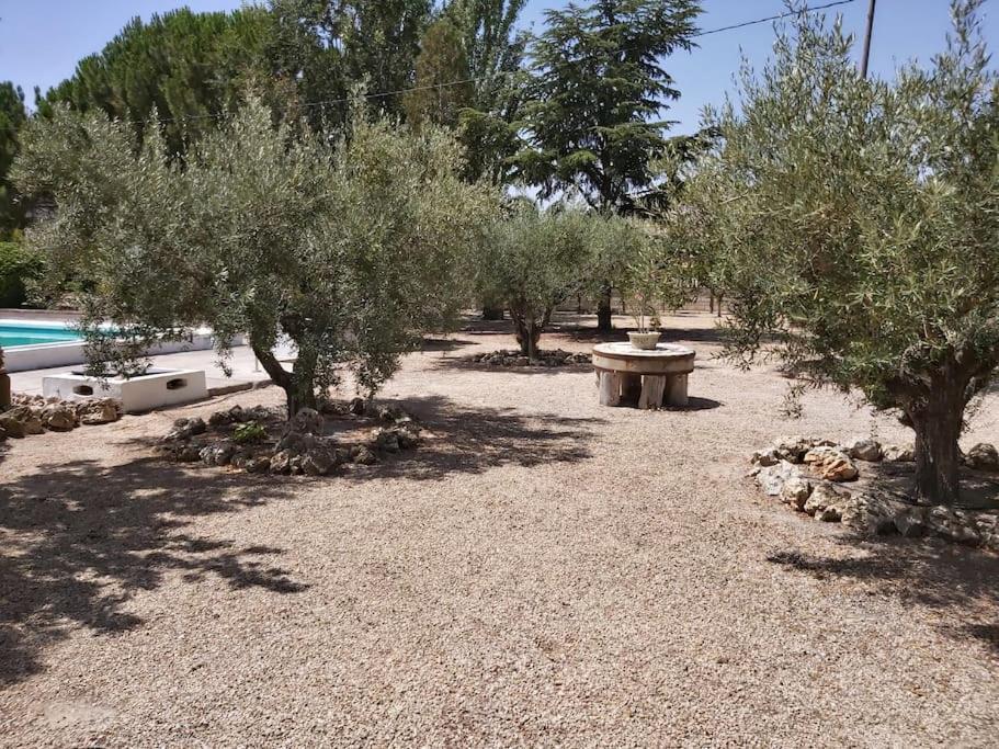 El Rulon, Gran Villa Rural Con Piscina Privada Alicante Exterior foto