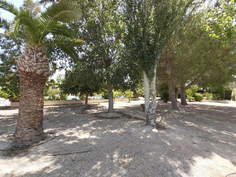 El Rulon, Gran Villa Rural Con Piscina Privada Alicante Exterior foto